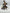 Warhammer 40k - Death Guard - Foetid Bloat-Drone (USED) (5)