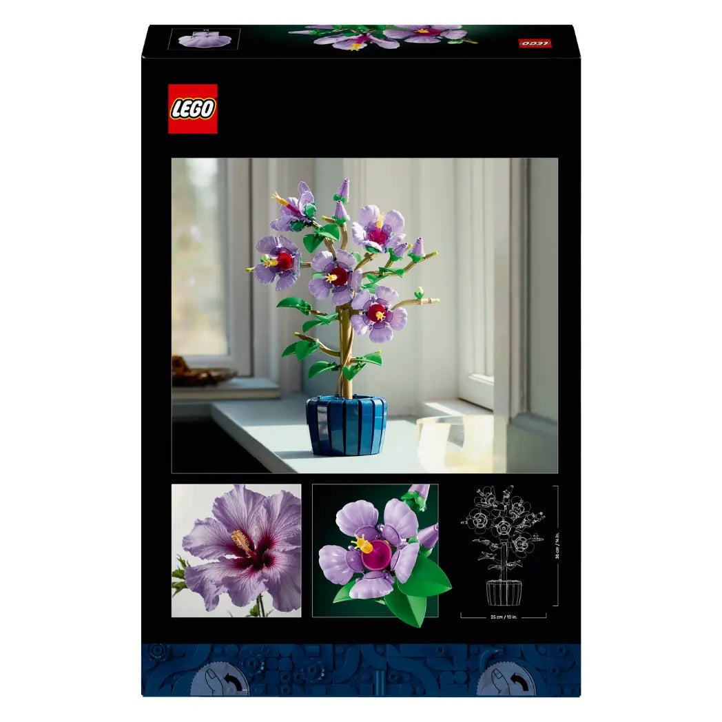 Back of LEGO Hibiscus box showing the model on a windowsill alongside flower close-ups and set dimensions.