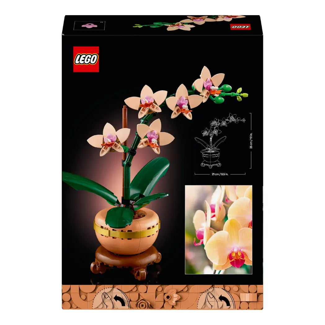 Back of LEGO Mini Orchid box showing the model’s dimensions and a photo of real orchid blossoms.