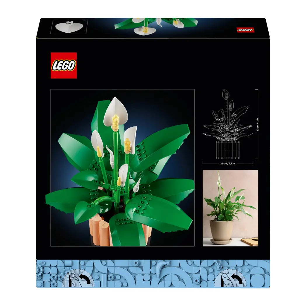 Back of LEGO Peace Lily box showing the model’s dimensions and a photo of a real peace lily plant in a pot.