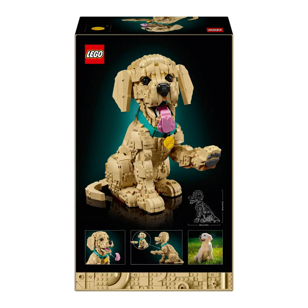 Back of LEGO Golden Retriever Puppy box showing the dog with a pink tongue and raised paw, plus set dimensions.