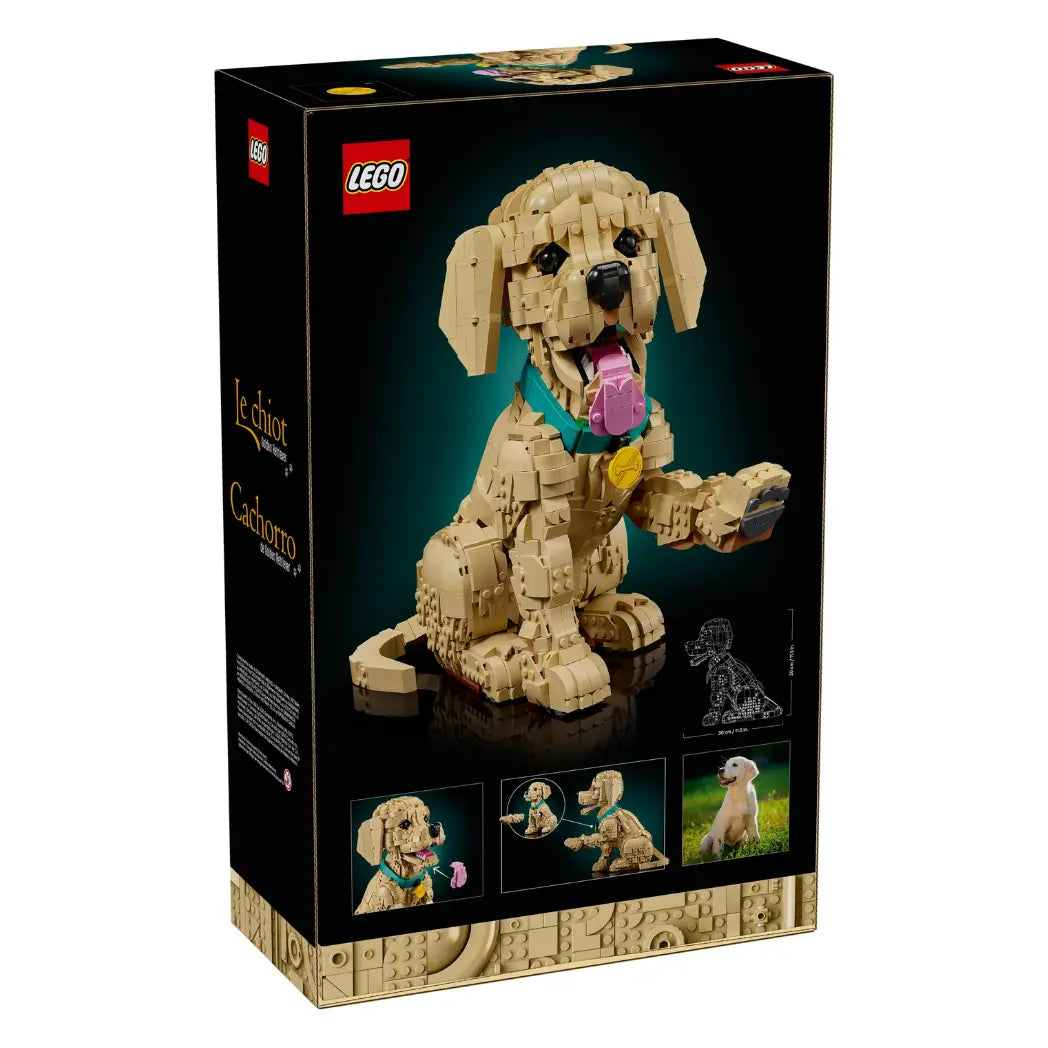 Back of LEGO Golden Retriever Puppy box showing the dog with a pink tongue and raised paw, plus set dimensions.