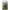 Magic: The Gathering - The Hobbit - Sleeved Booster Pack (PREORDER) August 14, 2026