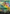 A Realm Reborn (Borderless) (Chocobo Track Foil) [FINAL FANTASY] - Card Brawlers