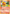 Torchic (74/109) (Jumbo Card) [First Partner Pack] - Pokémon - Card Brawlers | Quebec | Canada |
