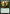 Deeproot Champion [Ixalan] - Magic: The Gathering - Card Brawlers | Quebec | Canada |