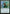 Search for Tomorrow [Iconic Masters] - Magic: The Gathering - Card Brawlers | Quebec | Canada |