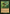 Flare of Cultivation (Retro) [Modern Horizons 3] - Magic: The Gathering - Card Brawlers | Quebec | Canada |