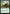 Inspiring Call [Commander Anthology Volume II] - Magic: The Gathering - Card Brawlers | Quebec | Canada |