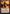 Chandra, Fire of Kaladesh // Chandra, Roaring Flame [Secret Lair: From Cute to Brute] - Magic: The Gathering - Card Brawlers | Quebec | Canada |