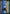 Celestine Reef (Planes) [Promotional Planes] - Magic: The Gathering - Card Brawlers | Quebec | Canada |