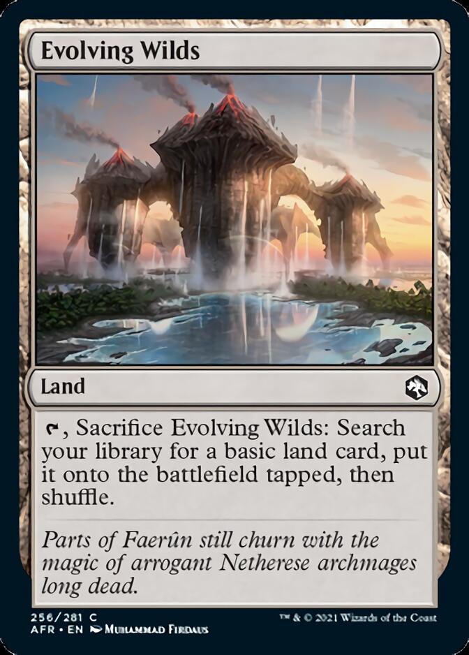 Evolving Wilds [Dungeons & Dragons: Adventures in the Forgotten Realms] - Magic: The Gathering - Card Brawlers | Quebec | Canada |