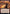 Keldon Flamesage (Extended Art) [Dominaria United] - Magic: The Gathering - Card Brawlers | Quebec | Canada |
