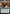 Iron Spider, Stark Upgrade (Extended Art) [Marvel's Spider-Man] - Magic: The Gathering - Card Brawlers | Quebec | Canada |