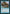 Giant Crab [Tempest] - Magic: The Gathering - Card Brawlers | Quebec | Canada |