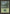 Forest (Green Signature with White Bark Trees) [Portal] - Magic: The Gathering - Card Brawlers | Quebec | Canada |