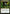 Journey to Eternity // Atzal, Cave of Eternity [Rivals of Ixalan Prerelease Promos] - Magic: The Gathering - Card Brawlers | Quebec | Canada |