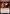 Xorn (Promo Pack) [Dungeons & Dragons: Adventures in the Forgotten Realms Promos] - Magic: The Gathering - Card Brawlers | Quebec | Canada |