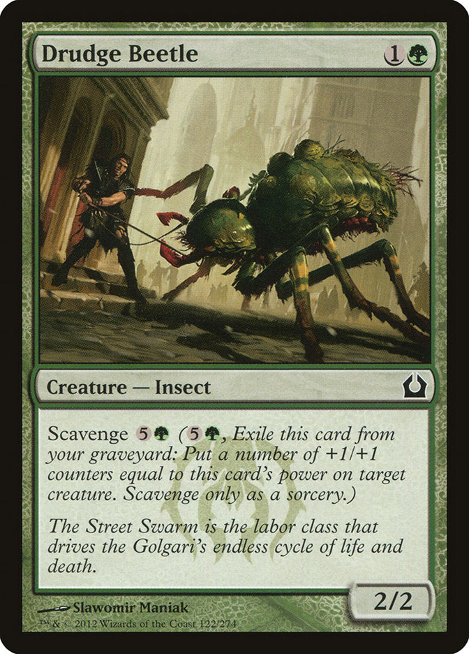Drudge Beetle [Return to Ravnica] - Magic: The Gathering - Card Brawlers | Quebec | Canada |