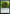 Snapping Gnarlid [Jumpstart 2022] - Magic: The Gathering - Card Brawlers | Quebec | Canada |