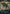 Overgrown Tomb (Borderless) [Unfinity] - Magic: The Gathering - Card Brawlers | Quebec | Canada |