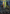Sword of Forge and Frontier (Borderless) [Wizards Play Network 2025] - Magic: The Gathering - Card Brawlers | Quebec | Canada |