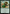 Toph, Earthbending Master [Avatar: The Last Airbender: Eternal-Legal] - Magic: The Gathering - Card Brawlers | Quebec | Canada |