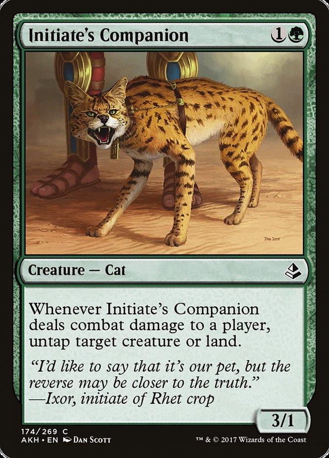 Initiate's Companion [Amonkhet] - Magic: The Gathering - Card Brawlers | Quebec | Canada |