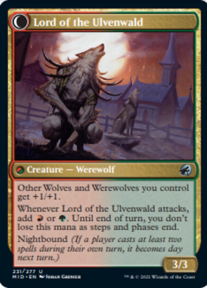 Kessig Naturalist // Lord of the Ulvenwald [Innistrad: Midnight Hunt] - Magic: The Gathering - Card Brawlers | Quebec | Canada |