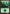 Forest (88) [Duel Decks: Jace vs. Vraska] - Magic: The Gathering - Card Brawlers | Quebec | Canada |