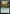 Kyoshi Warrior Exemplars [Avatar: The Last Airbender: Eternal-Legal] - Magic: The Gathering - Card Brawlers | Quebec | Canada |
