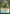 Ognis, the Dragon's Lash [Streets of New Capenna Prerelease Promos] - Magic: The Gathering - Card Brawlers | Quebec | Canada |