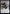 Narset of the Ancient Way Emblem // Wizard Double-Sided Token [Commander Masters Tokens] - Magic: The Gathering - Card Brawlers | Quebec | Canada |