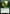 World Shaper [Rivals of Ixalan Prerelease Promos] - Magic: The Gathering - Card Brawlers | Quebec | Canada |