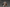 Joytoy - Warhammer 40k - White Scars Legion - Vigilator with Nemesis rifle and Bolt Pistol - (PREORDER) October 30, 2026