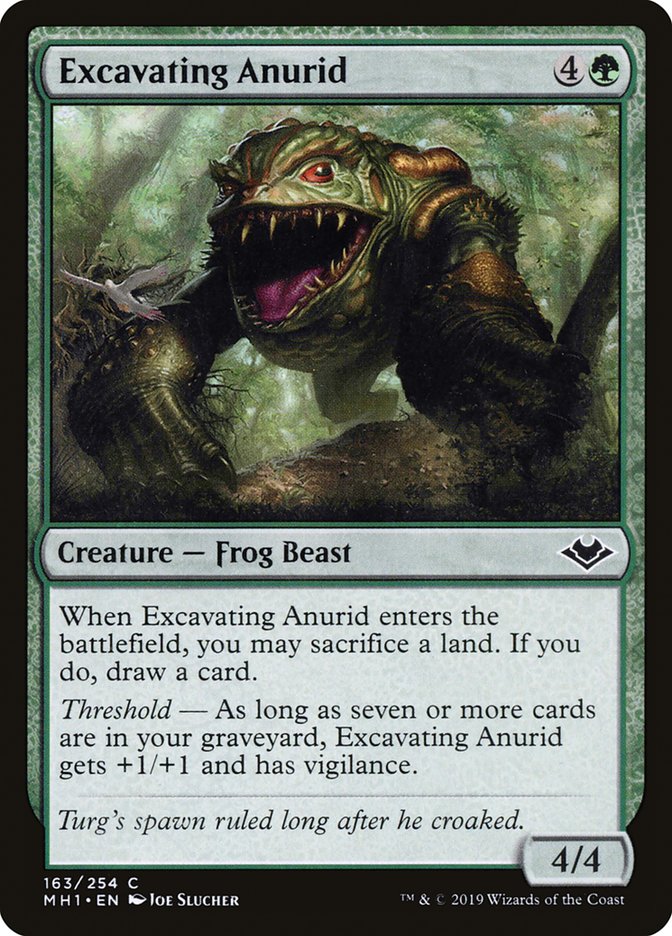 Excavating Anurid [Modern Horizons] - Magic: The Gathering - Card Brawlers | Quebec | Canada |