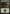 Forest (299) [Lorwyn] - Magic: The Gathering - Card Brawlers | Quebec | Canada |