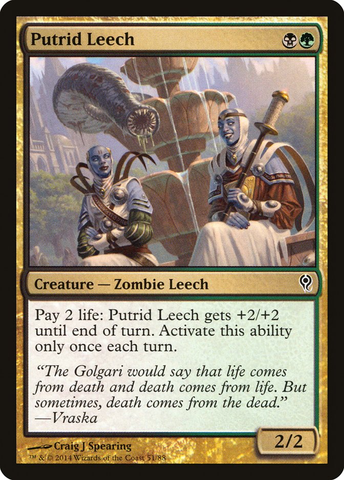 Putrid Leech [Duel Decks: Jace vs. Vraska] - Magic: The Gathering - Card Brawlers | Quebec | Canada |