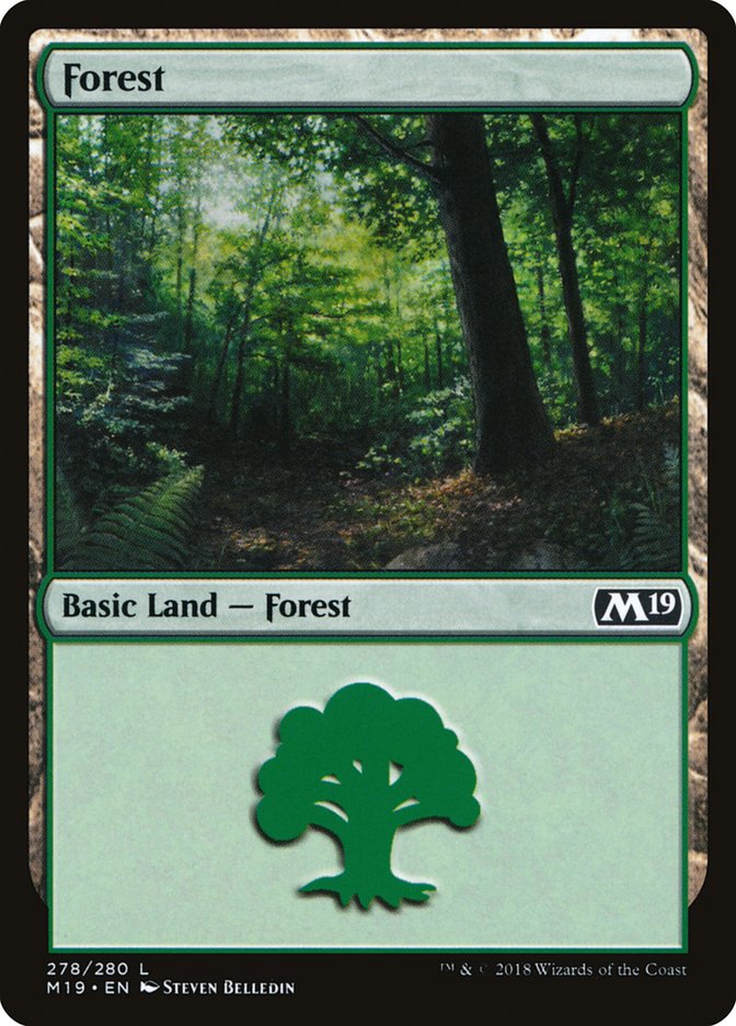 Forest (278) [Core Set 2019] - Magic: The Gathering - Card Brawlers | Quebec | Canada |