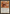 Standard Bearer [The List] - Magic: The Gathering - Card Brawlers | Quebec | Canada |