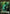 Elemental Token [Duel Decks: Nissa vs. Ob Nixilis] - Magic: The Gathering - Card Brawlers | Quebec | Canada |