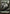 Forest (274) (Full Art) [Battle for Zendikar] - Magic: The Gathering - Card Brawlers | Quebec | Canada |