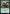 Professor of Zoomancy [Strixhaven: School of Mages] - Magic: The Gathering - Card Brawlers | Quebec | Canada |