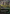 Verdant Catacombs (Borderless) (Dragonscale Foil) [Tarkir: Dragonstorm Special Guests] - Magic: The Gathering - Card Brawlers | Quebec | Canada |