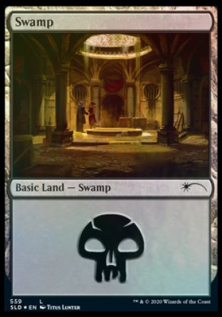 Swamp (Rogues) (559) [Secret Lair Drop Promos] - Magic: The Gathering - Card Brawlers | Quebec | Canada |