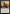Doomed Dissenter [Game Night: Free-for-All] - Magic: The Gathering - Card Brawlers | Quebec | Canada |