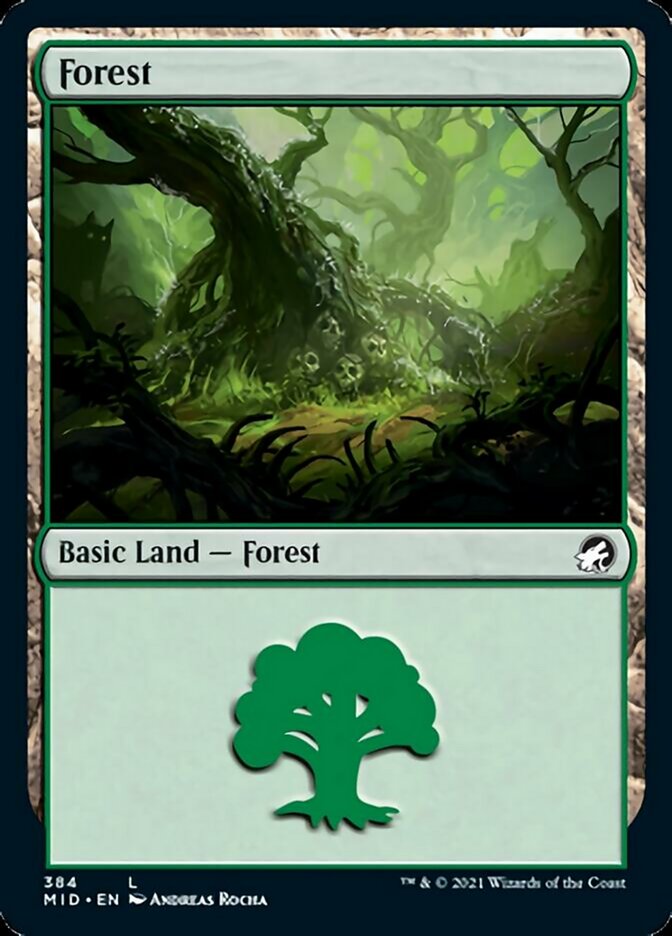 Forest (384) [Innistrad: Midnight Hunt] - Magic: The Gathering - Card Brawlers | Quebec | Canada |