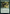 Sylvan Messenger [Game Night: Free-for-All] - Magic: The Gathering - Card Brawlers | Quebec | Canada |