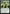 Worldly Tutor [Commander Collection: Green] - Magic: The Gathering - Card Brawlers | Quebec | Canada |