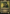 Kaust, Eyes of the Glade (Display Commander) [Murders at Karlov Manor Commander] - Magic: The Gathering - Card Brawlers | Quebec | Canada |